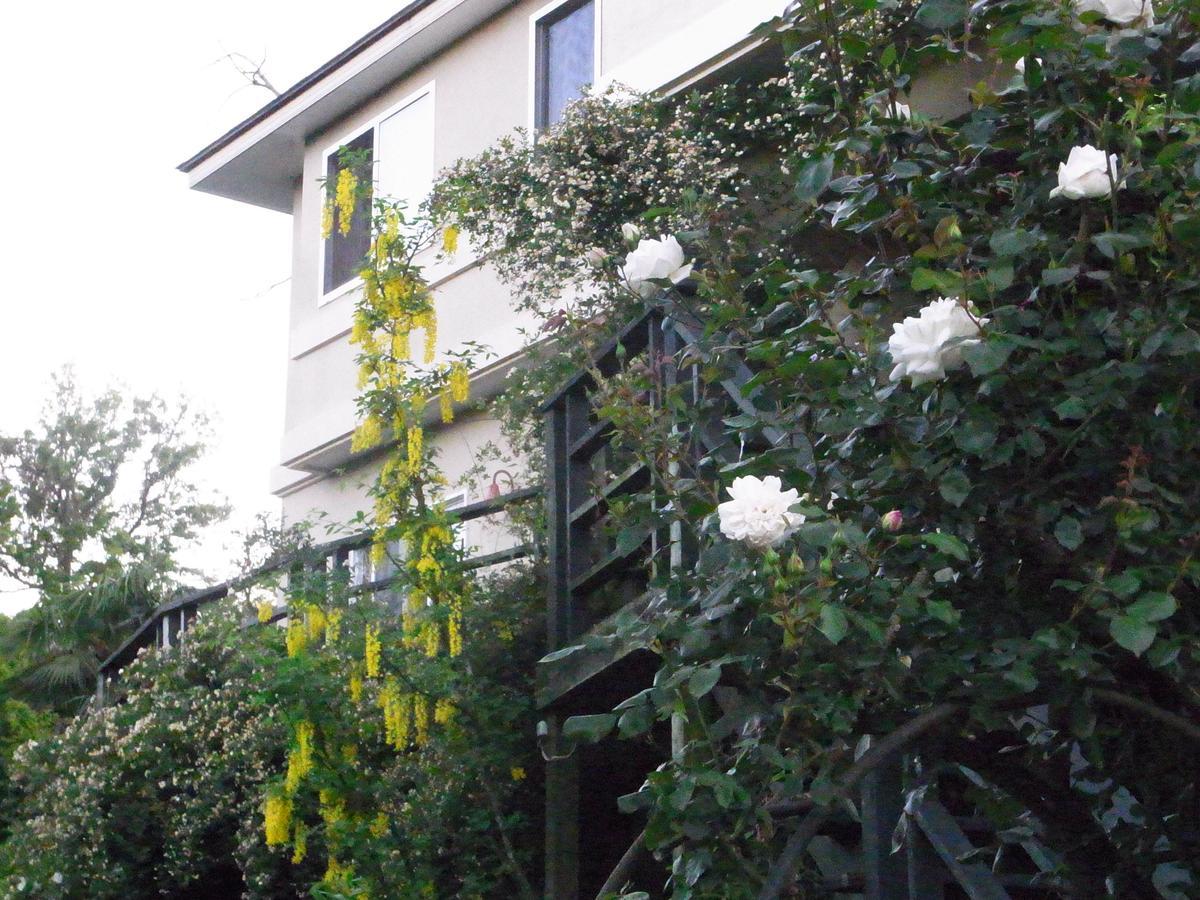 Chiisana Hotel Hanaikada อิโตะ ภายนอก รูปภาพ